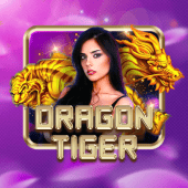 Dragon Tiger arena plus